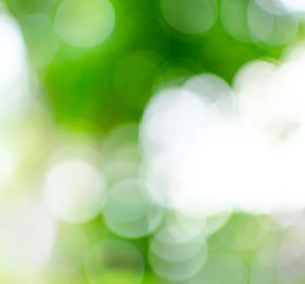 Grön abstrakt oskärpa bakgrund — Stockfoto