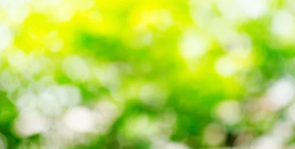 Green abstract blur background — Stock Photo, Image