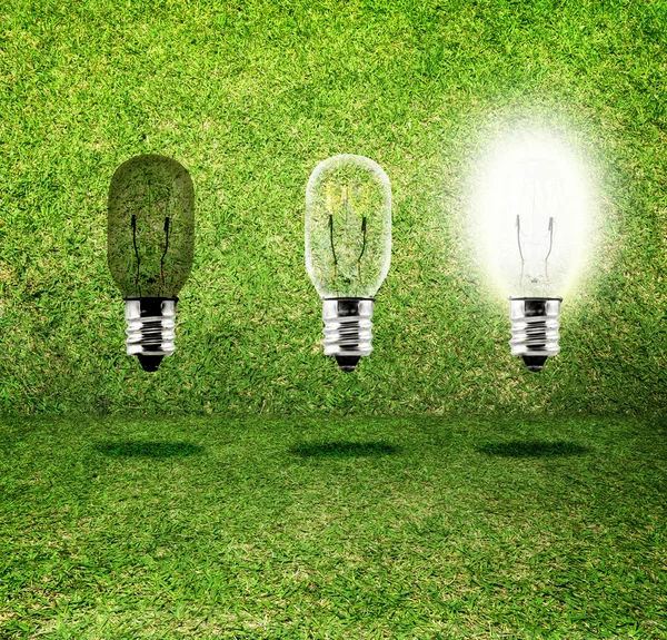 Sequenza di idea creativa, tre lampadine in erba stanza, eco idea — Foto Stock