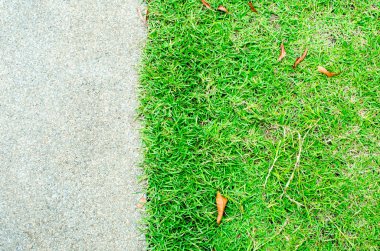 Çim ve taş kaldırım