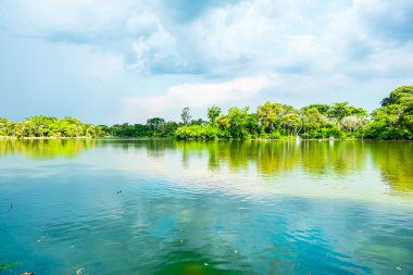 gökyüzü ve yeşil ağaçlar gölde