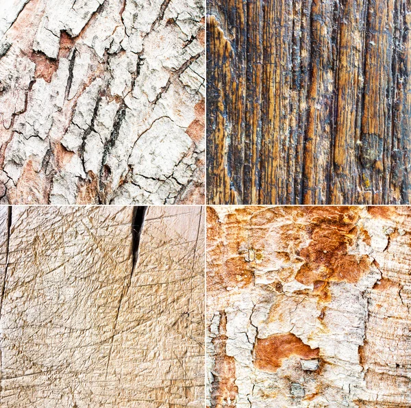 Collection of rough wood, — Stock Photo, Image