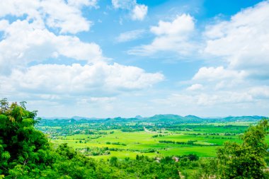 Top view Landscape of green meadow
