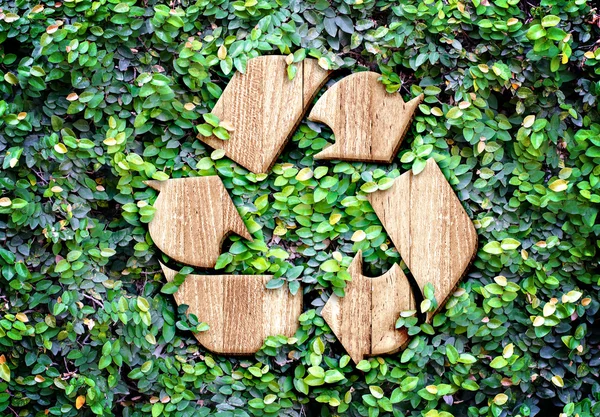 Textura de madeira Ícone de reciclagem — Fotografia de Stock