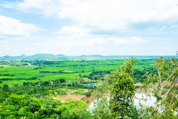 Top view Landscape of green meadow — Φωτογραφία Αρχείου