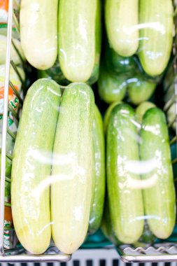 taze yeşil salatalık