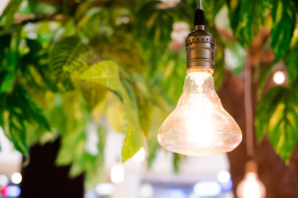 Lightbulbs hanging on tree — Stock Photo, Image