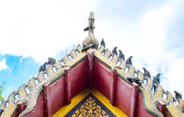 Pigeon sur temple thaïlandais — Photo