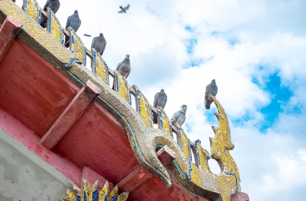 Pigeon sur le toit du temple thaïlandais — Photo