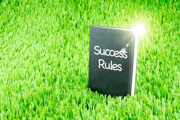 Shining Black book on grass with " Success Rules " word, Busines — Stock Photo, Image