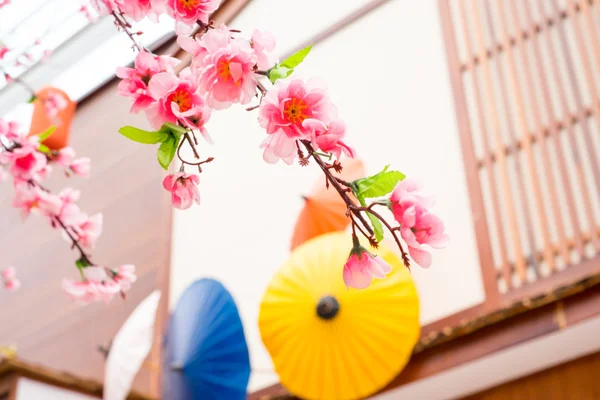 Close up plast sakura blomster - Stock-foto