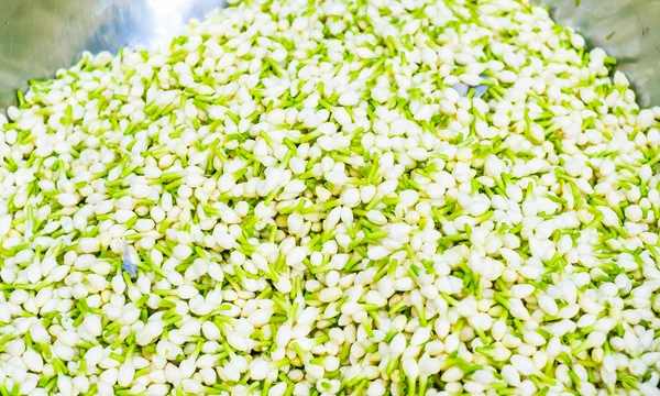 Mercado de flores en Tailandia — Foto de Stock