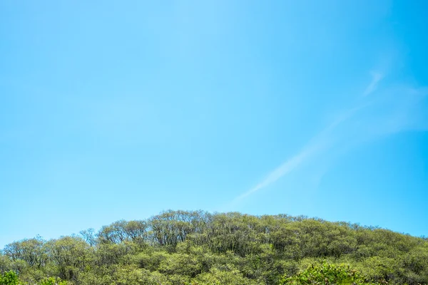 Topo da montanha com céu azul claro — Fotografia de Stock