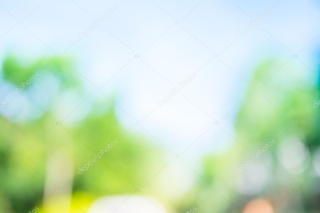 Green tree and sky with bokeh
