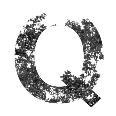 Q harfi çift pozlama