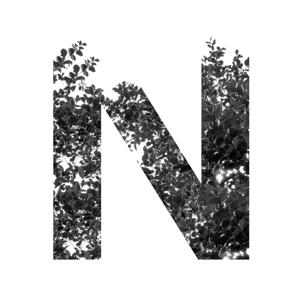 N letter double exposure — Stock Photo, Image