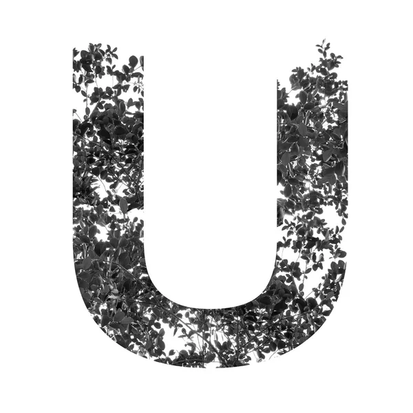 U letter double exposure — Stock Photo, Image