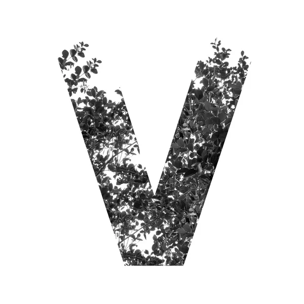 V letter double exposure — Stock Photo, Image