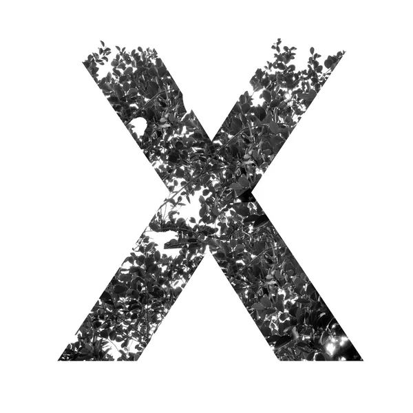 X Buchstabe Doppelbelichtung — Stockfoto
