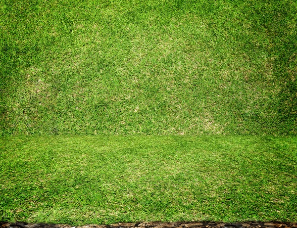 Empty perspective green grass room — Stock Photo, Image