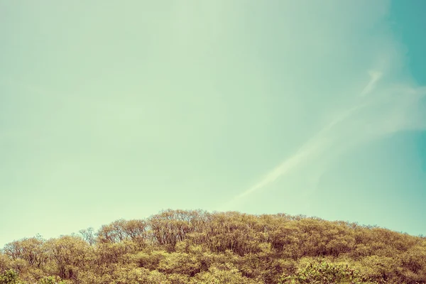 Vintage filter,Top of mountain — Stock Photo, Image