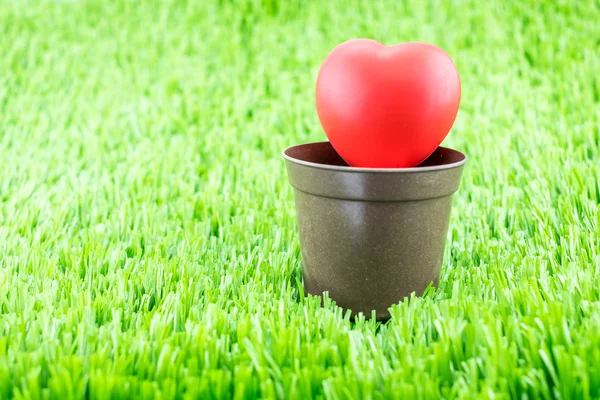 Red heart on flower pot — Stock Photo, Image