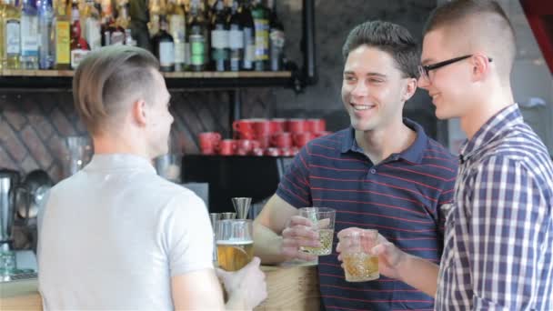 Los hombres beben bebidas en el mostrador del bar — Vídeo de stock