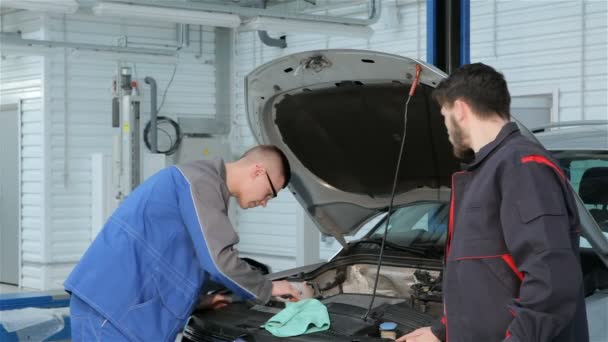 Mechanik rozwiązuje problem samochodu na transport samochodowy — Wideo stockowe