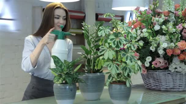 Florista fêmea regar plantas na loja de flores — Vídeo de Stock