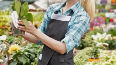 Kadın çiçekçi uzun Buhar ve kırmızı çiçekler ile Orkide Bahçe merkezinde alır.