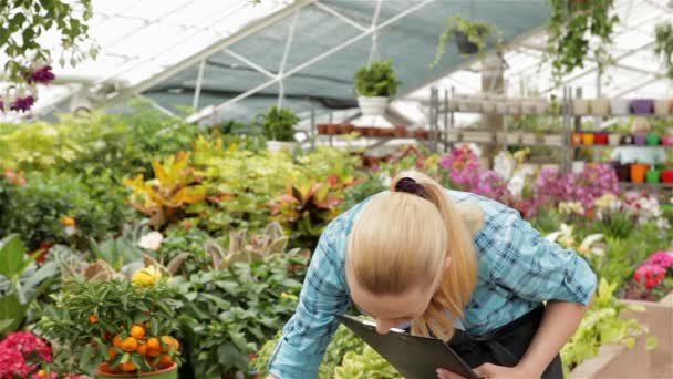 Vrouwelijke bloemist registreert gegevens bij het tuincentrum — Stockvideo