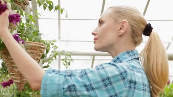 女性花屋園芸用品センターで植物をカットします。 — ストック動画