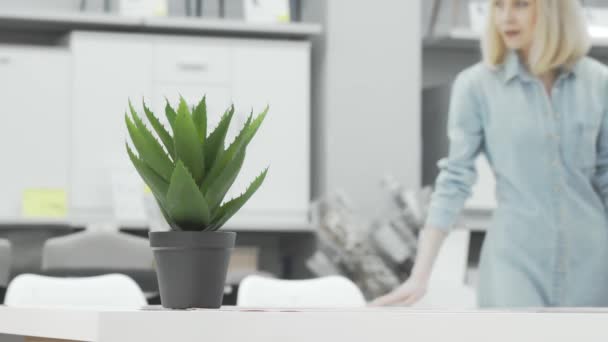 Encantadora mujer mirando la planta de aloe en maceta en la tienda de muebles — Vídeos de Stock