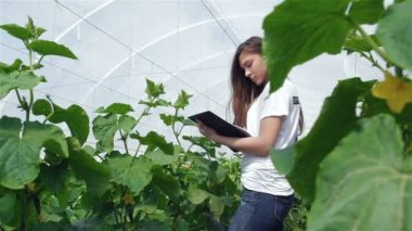 Doğrudan kameraya gülümseyen kız Ziraat Mühendisi yazdı