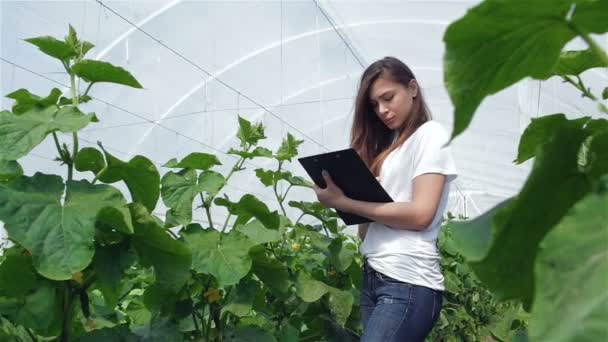 Chica joven agrónoma registra observaciones — Vídeos de Stock