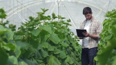 Bir adam elinde dosya olan yaprakları incelemek ve notlar yapar