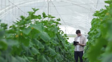 Bir adam elinde dosya olan incelemek yaprakları ve yeşil alan koridorlar