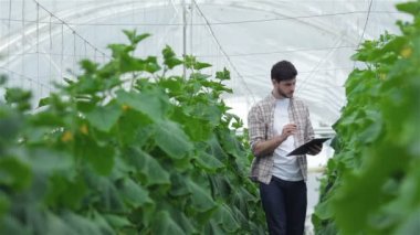 Yavaş yavaş yeşil satırlar arasında yürürken elinde dosya olan bir adam