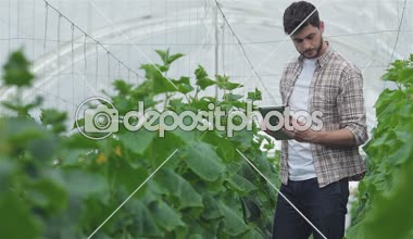 Adam tablet ile yavaş yavaş bitkiler incelemek