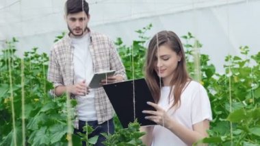 Muayene yaprakları sonuçlarını kızla adam geliyor