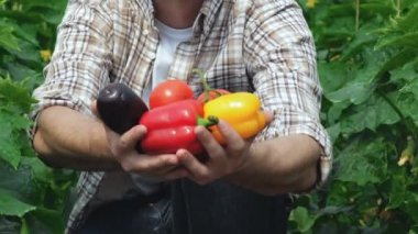 Adam doğrudan kamera için organik sebze gösterir