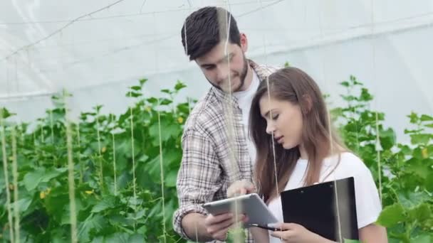 Guy toont een meisje op het Tablet PC voorbeeld van gezonde planten — Stockvideo