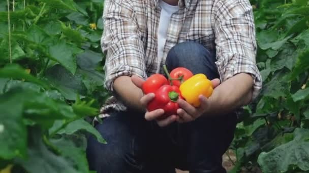 Guy raises vegetables directly to the camera — Stock Video