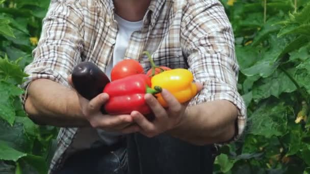 Guy mostra le verdure biologiche direttamente alla fotocamera — Video Stock