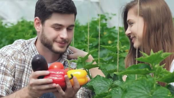 Молодые агрономы следят за урожаем — стоковое видео