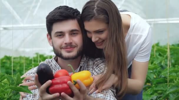 Um par de agricultores na colheita — Vídeo de Stock