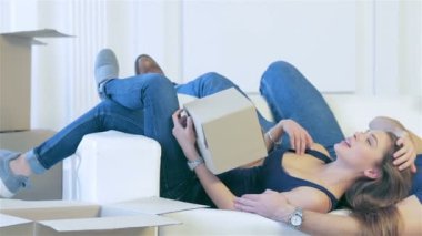 Boş bir daire içinde belgili tanımlık boksör arasında yalan