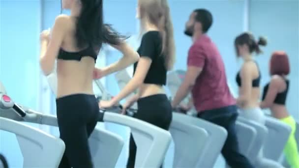 Athletes wearing sportswear and running in the gym a rear view athletes — Stock Video