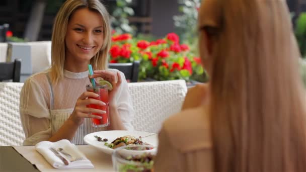 Reden und Cocktail trinken — Stockvideo