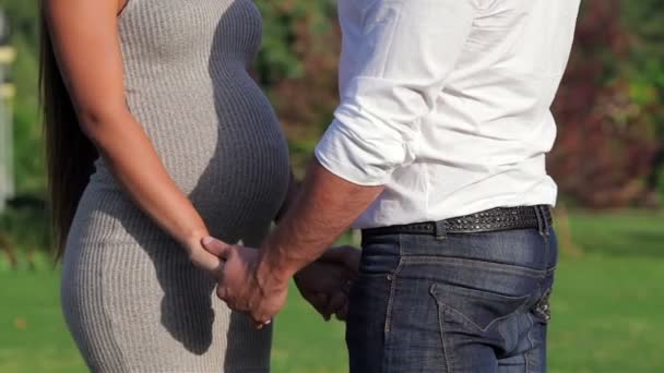 Man Holding handen zijn zwangere vrouw — Stockvideo